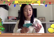 EP3 – DIY Crystal Ornament