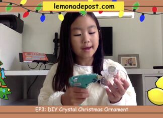 EP3 – DIY Crystal Ornament
